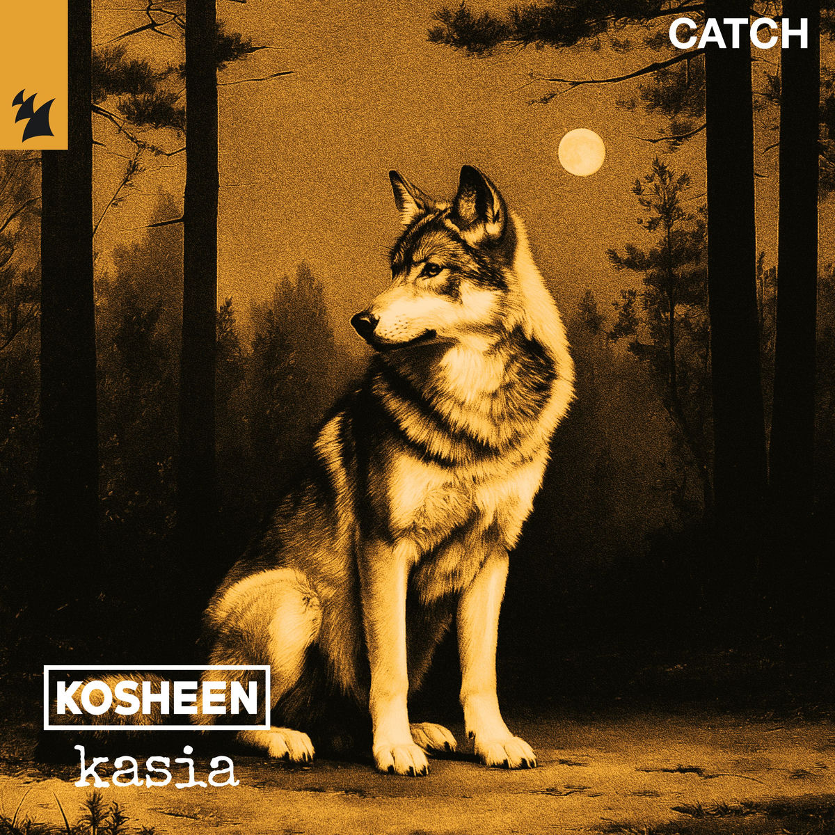Kosheen